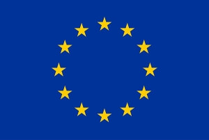 European flag logo